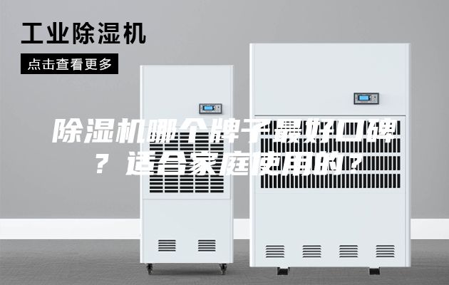 除濕機哪個牌子最好口碑？適合家庭使用的？