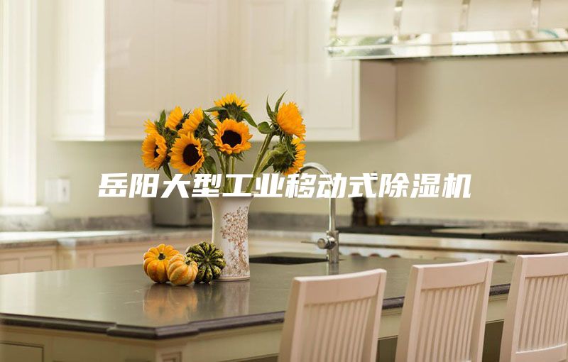 岳陽大型工業(yè)移動(dòng)式除濕機(jī)
