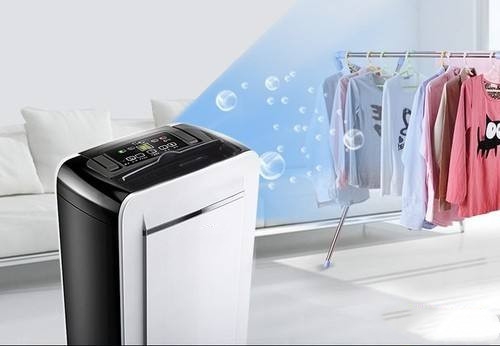 芒果烘干除濕機，芒果烘干除濕一體機