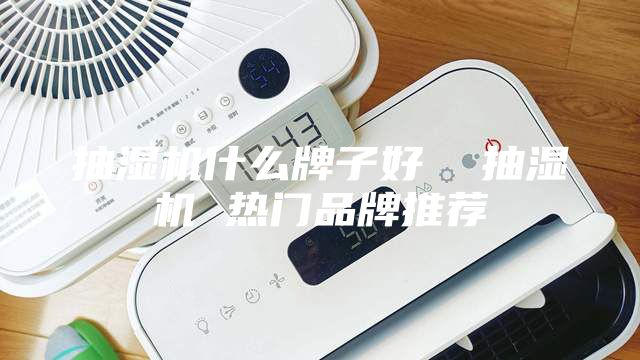 抽濕機什么牌子好  抽濕機 熱門品牌推薦
