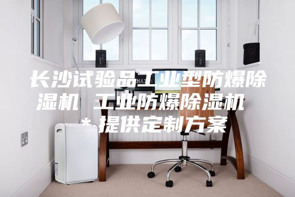 長沙試驗品工業(yè)型防爆除濕機(jī) 工業(yè)防爆除濕機(jī) ＊提供定制方案