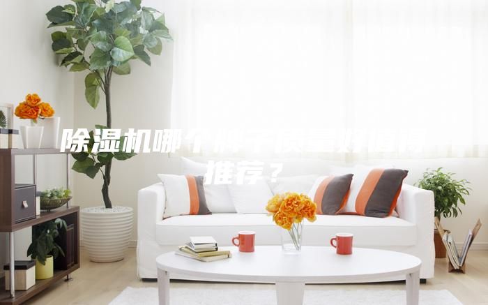 除濕機哪個牌子質量好值得推薦？