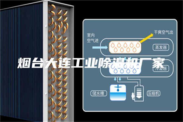 煙臺大連工業(yè)除濕機廠家