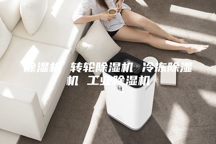 除濕機 轉(zhuǎn)輪除濕機 冷凍除濕機 工業(yè)除濕機
