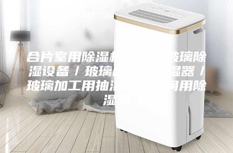 合片室用除濕機/夾層玻璃除濕設(shè)備/玻璃合片室除濕器/玻璃加工用抽濕機/車間用除濕機