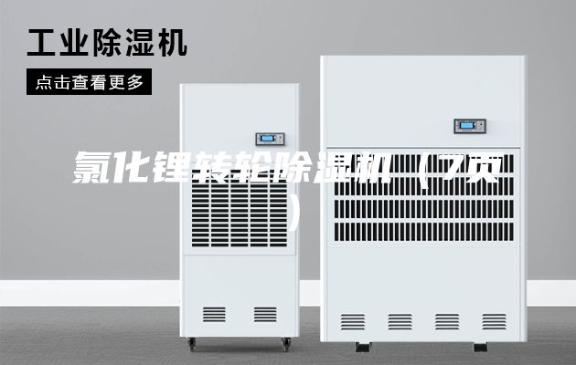 氯化鋰轉(zhuǎn)輪除濕機(jī)（7頁(yè)）