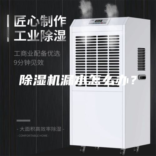 除濕機漏水怎么辦？