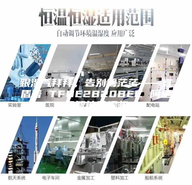 跟濕氣拜拜,告別霧茫茫——宜盾普 TFDE2B20BEC 阿里云智能除濕機