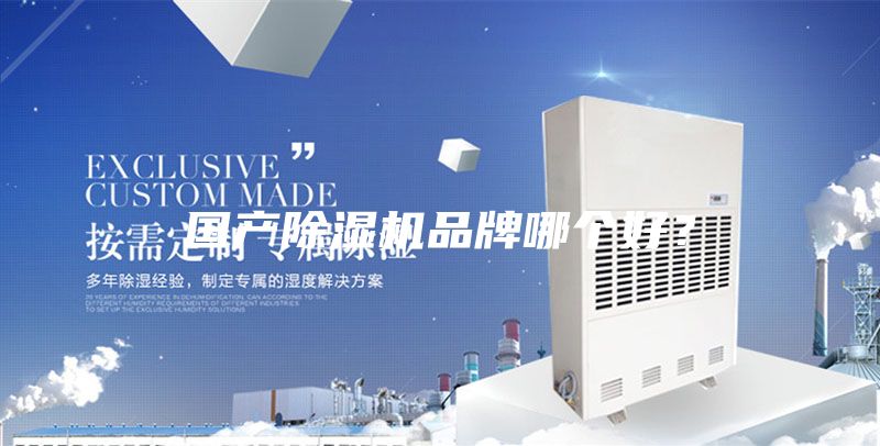 國(guó)產(chǎn)除濕機(jī)品牌哪個(gè)好？