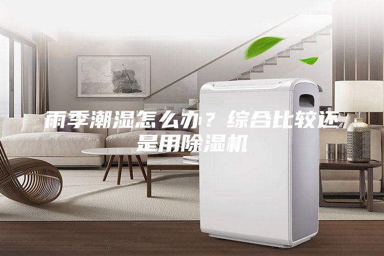 雨季潮濕怎么辦？綜合比較還是用除濕機