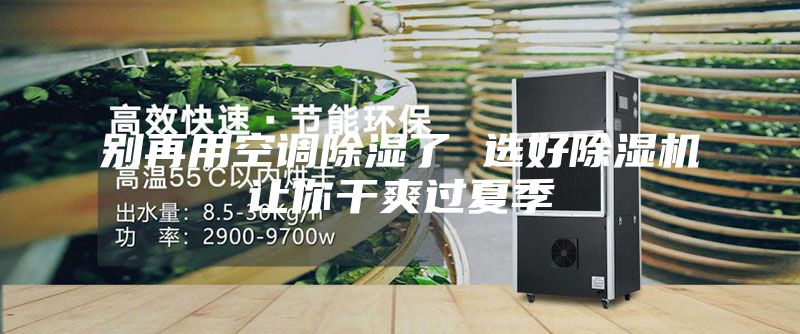 別再用空調(diào)除濕了 選好除濕機讓你干爽過夏季