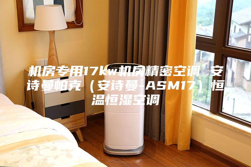 機房專用17kw機房精密空調 安詩曼帕克(安詩曼-ASM17)恒溫恒濕空調