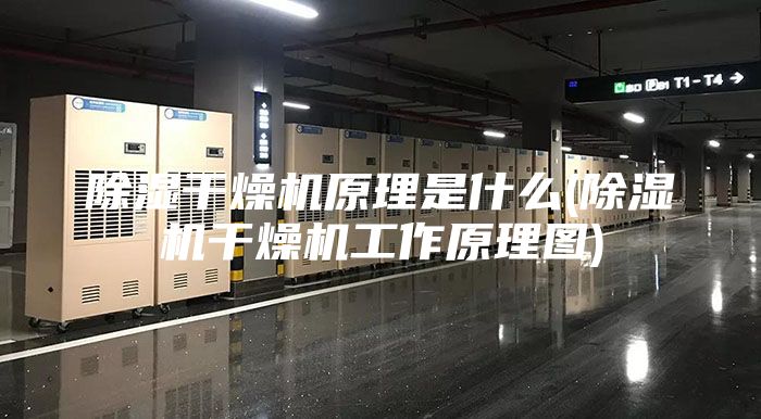 除濕干燥機(jī)原理是什么(除濕機(jī)干燥機(jī)工作原理圖)