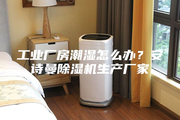 工業廠房潮濕怎么辦?安詩曼除濕機生產廠家
