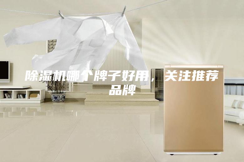除濕機哪個牌子好用,關注推薦品牌