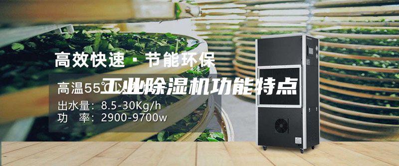 工業(yè)除濕機(jī)功能特點