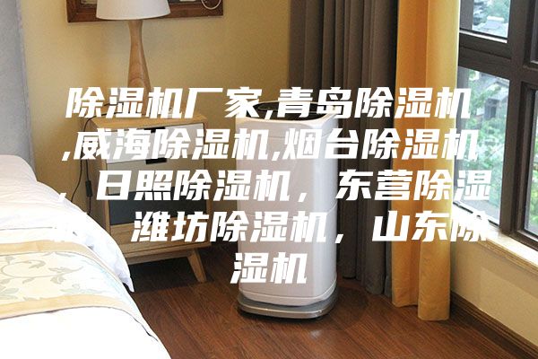 除濕機(jī)廠家,青島除濕機(jī),威海除濕機(jī),煙臺(tái)除濕機(jī),日照除濕機(jī),東營(yíng)除濕機(jī),濰坊除濕機(jī),山東除濕機(jī)