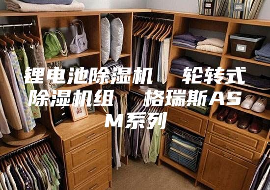 鋰電池除濕機 輪轉(zhuǎn)式除濕機組 格瑞斯ASM系列