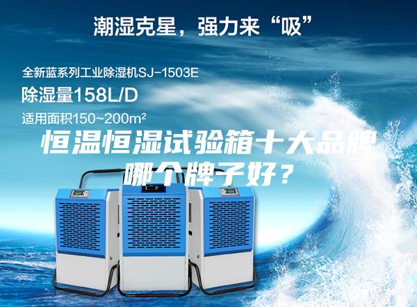 恒溫恒濕試驗(yàn)箱十大品牌哪個(gè)牌子好？