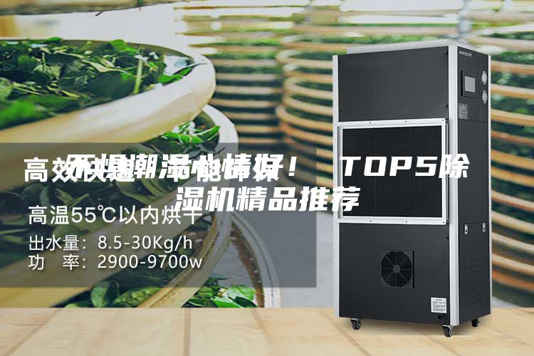不懼潮濕心情好！ TOP5除濕機精品推薦