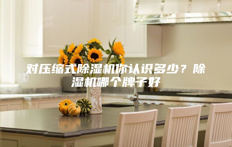 對壓縮式除濕機(jī)你認(rèn)識(shí)多少？除濕機(jī)哪個(gè)牌子好