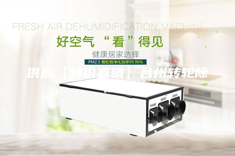 供應(yīng)【特價(jià)直銷】臺州轉(zhuǎn)輪除濕機(jī)