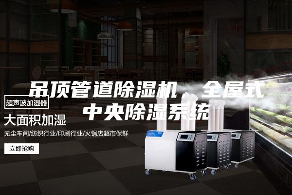 吊頂管道除濕機,全屋式中央除濕系統