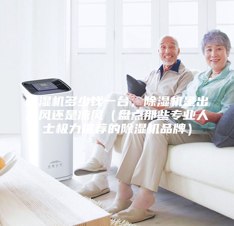 除濕機(jī)多少錢一臺(tái)，除濕機(jī)是出熱風(fēng)還是涼風(fēng)（盤點(diǎn)那些專業(yè)人士極力推薦的除濕機(jī)品牌）