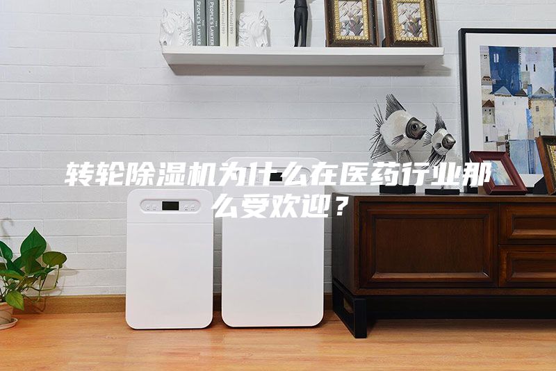 轉輪除濕機為什么在醫藥行業那么受歡迎?