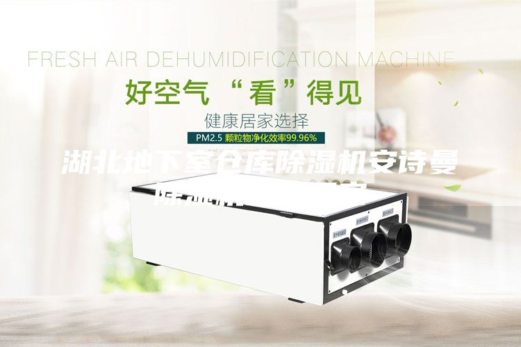 湖北地下室倉庫除濕機安詩曼除濕機生產(chǎn)廠家