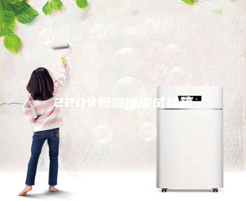 220V恒溫恒濕試驗(yàn)箱