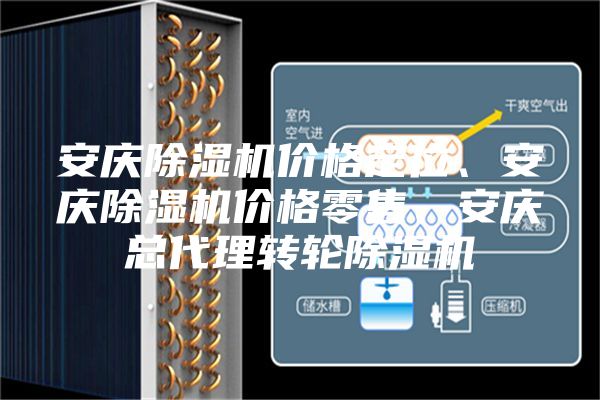 安慶除濕機價格定位、安慶除濕機價格零售、安慶總代理轉(zhuǎn)輪除濕機