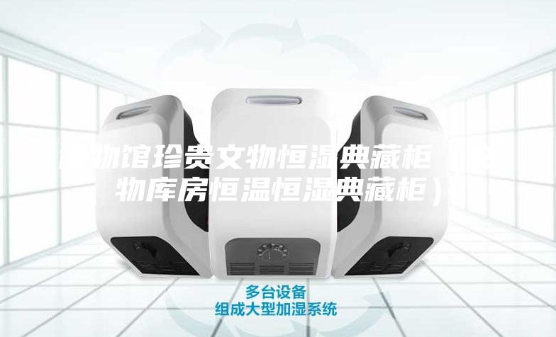 博物館珍貴文物恒濕典藏柜(文物庫房恒溫恒濕典藏柜)