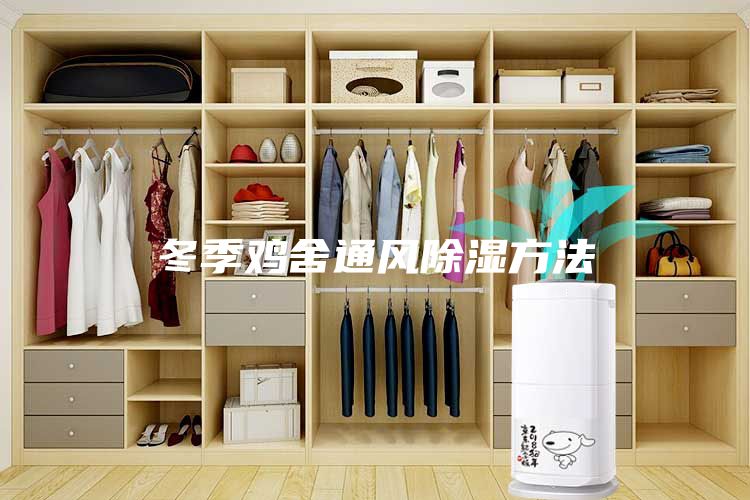 冬季雞舍通風(fēng)除濕方法