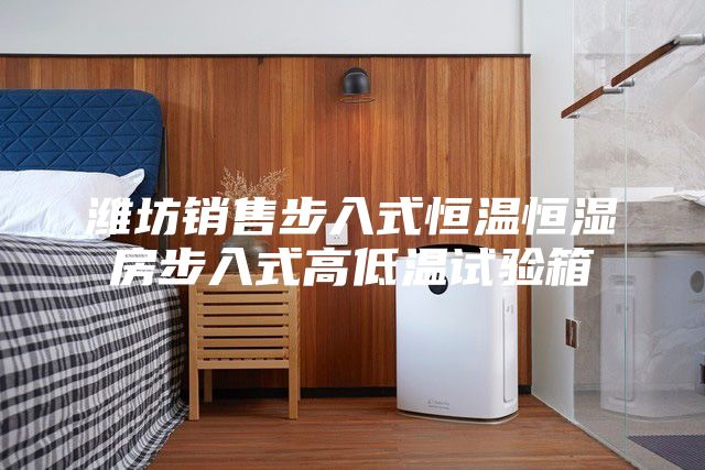 濰坊銷(xiāo)售步入式恒溫恒濕房步入式高低溫試驗(yàn)箱