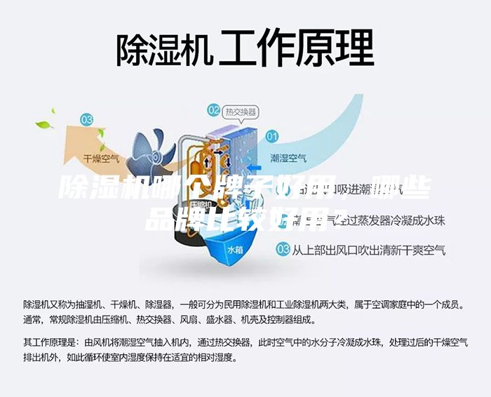 除濕機哪個牌子好用,哪些品牌比較好用?