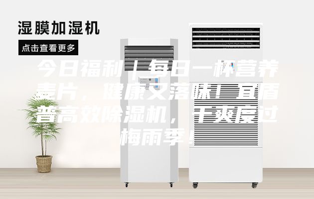 今日福利｜每日一杯營養(yǎng)麥片，健康又落味！宜盾普高效除濕機，干爽度過梅雨季！