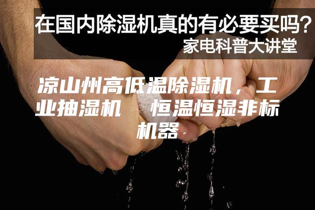 涼山州高低溫除濕機，工業抽濕機  恒溫恒濕非標機器