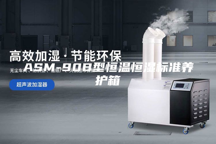 ASM-90B型恒溫恒濕標準養護箱