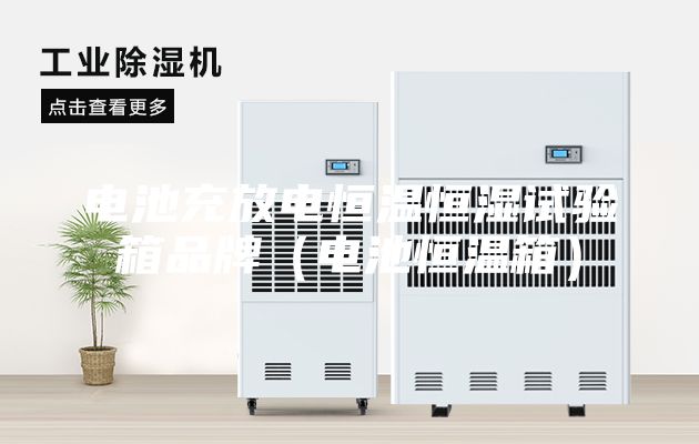 電池充放電恒溫恒濕試驗箱品牌(電池恒溫箱)
