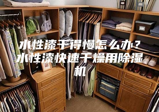 水性漆干得慢怎么辦？水性漆快速干燥用除濕機(jī)
