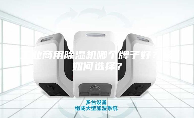 工業(yè)商用除濕機(jī)哪個牌子好？該如何選擇？