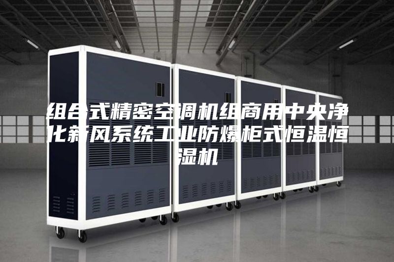 組合式精密空調(diào)機(jī)組商用中央凈化新風(fēng)系統(tǒng)工業(yè)防爆柜式恒溫恒濕機(jī)