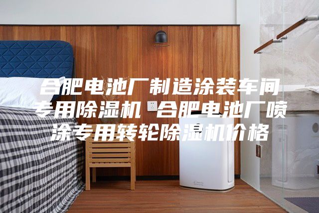 合肥電池廠制造涂裝車間專用除濕機 合肥電池廠噴涂專用轉(zhuǎn)輪除濕機價格