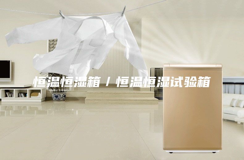 恒溫恒濕箱/恒溫恒濕試驗箱