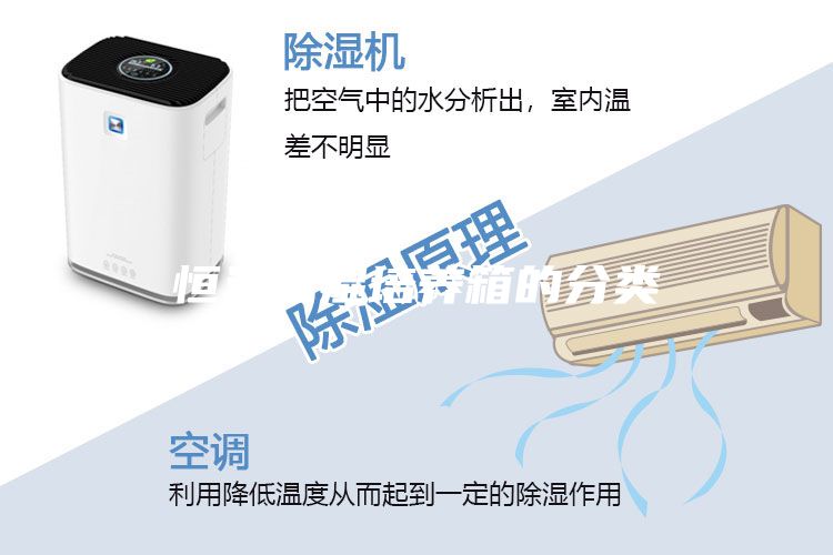 恒溫恒濕培養(yǎng)箱的分類