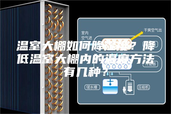 溫室大棚如何降濕度?降低溫室大棚內的濕度方法有幾種?