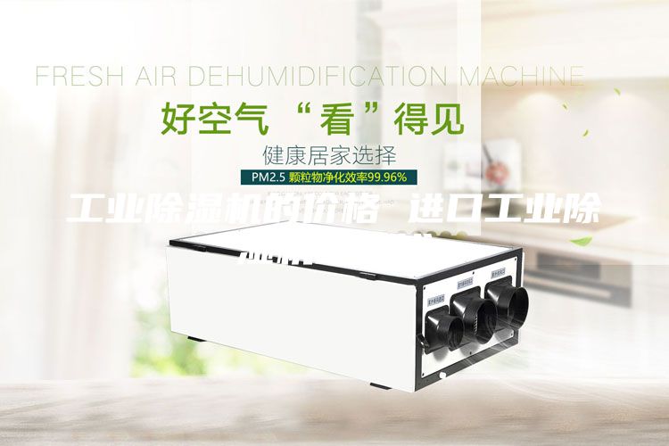工業除濕機的價格 進口工業除濕機多少錢