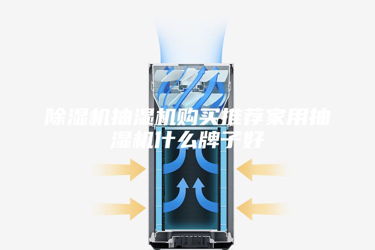 除濕機(jī)抽濕機(jī)購(gòu)買推薦家用抽濕機(jī)什么牌子好