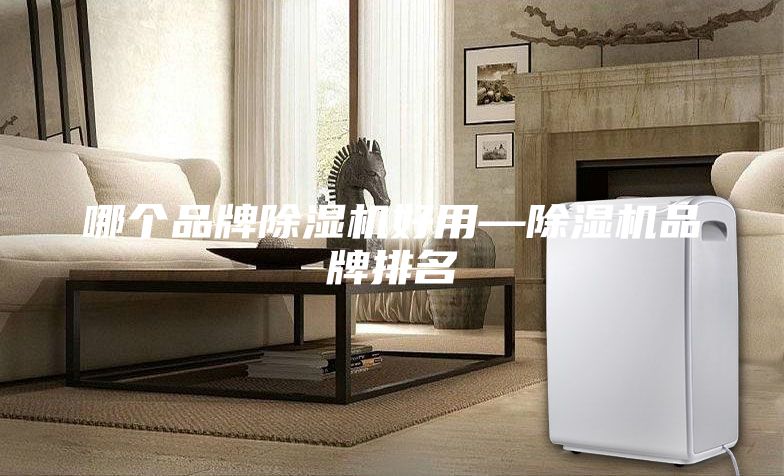 哪個(gè)品牌除濕機(jī)好用—除濕機(jī)品牌排名